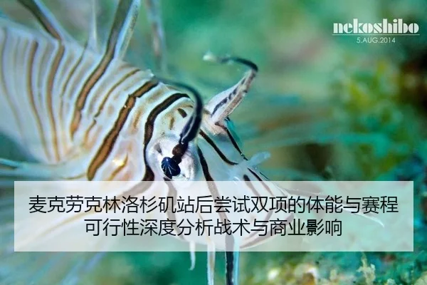 mai-ke-lao-ke-lin-luo-shan-ji-zhan-hou-chang-shi-shuang-xiang-de-ti-neng-yu-sai-cheng-ke-xing-xing-shen-du-fen-xi-zhan-2-759.jpg